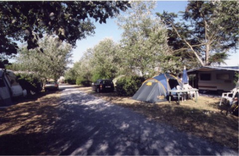 wempl08.jpg